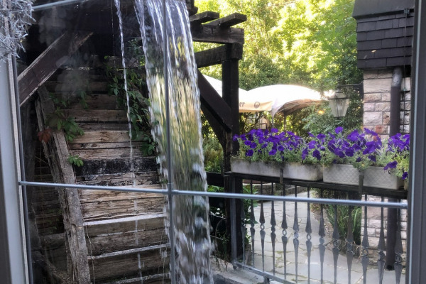 Träumerei im Garten der Kainsbacher Mühle©Klaus Hinterschuster