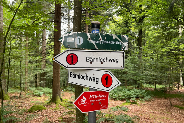 Wandertag© Elke Hinterschuster