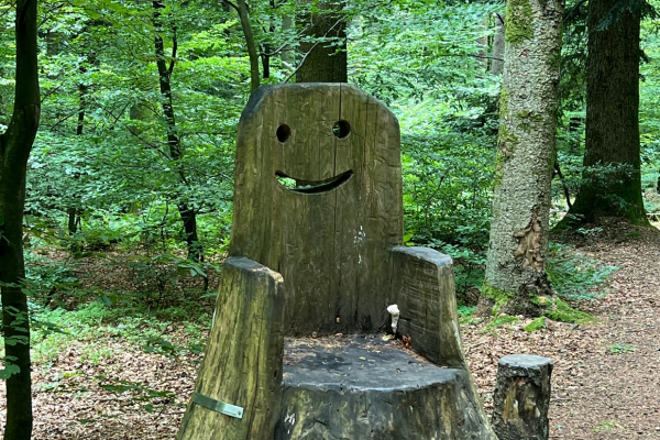Wandertag© Elke Hinterschuster