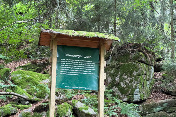 Wandertag© Elke Hinterschuster